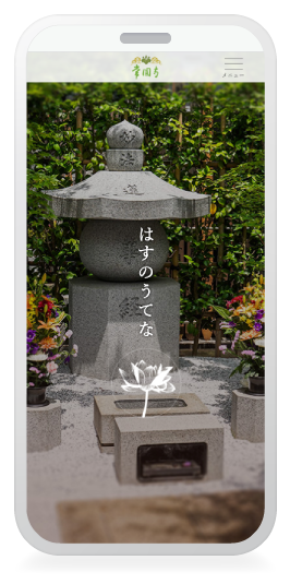 常圓寺のはすのうてな